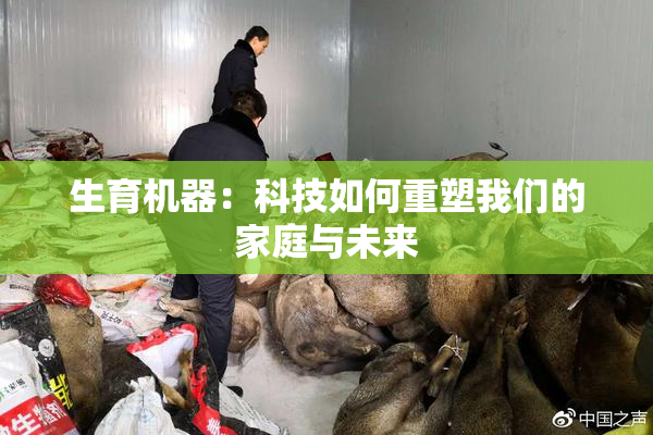 生育机器：科技如何重塑我们的家庭与未来