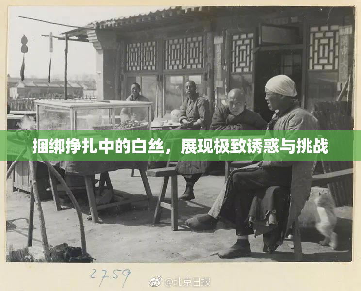 捆绑挣扎中的白丝，展现极致诱惑与挑战