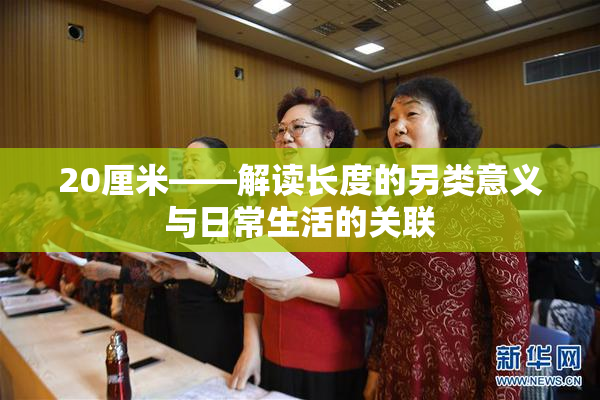 20厘米——解读长度的另类意义与日常生活的关联