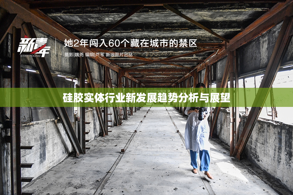 硅胶实体行业新发展趋势分析与展望