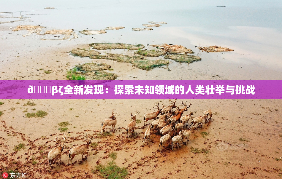 👙βζ全新发现：探索未知领域的人类壮举与挑战