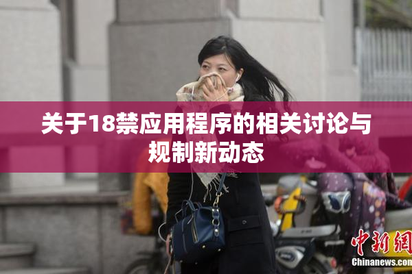 关于18禁应用程序的相关讨论与规制新动态