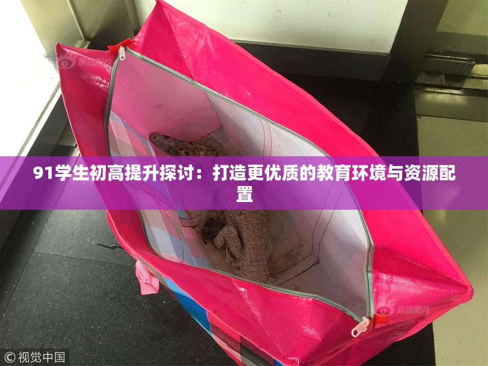 91学生初高提升探讨：打造更优质的教育环境与资源配置