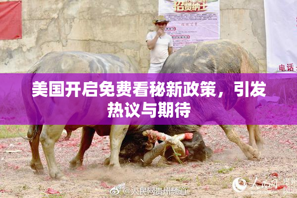 美国开启免费看秘新政策，引发热议与期待