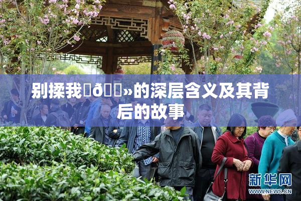 别揉我‌🐻的深层含义及其背后的故事