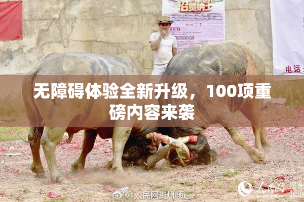 无障碍体验全新升级，100项重磅内容来袭