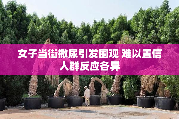 女子当街撒尿引发围观 难以置信人群反应各异