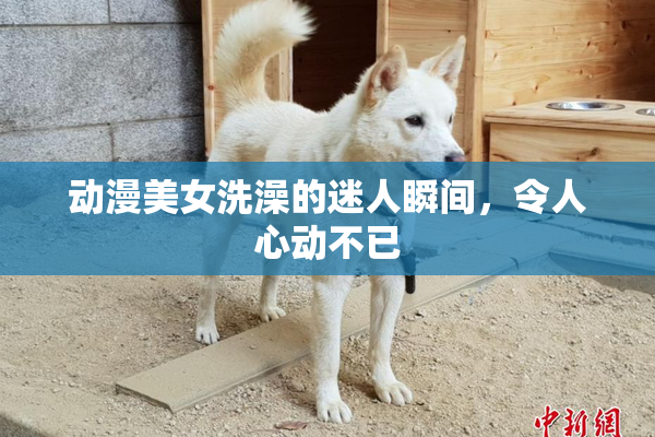 动漫美女洗澡的迷人瞬间，令人心动不已