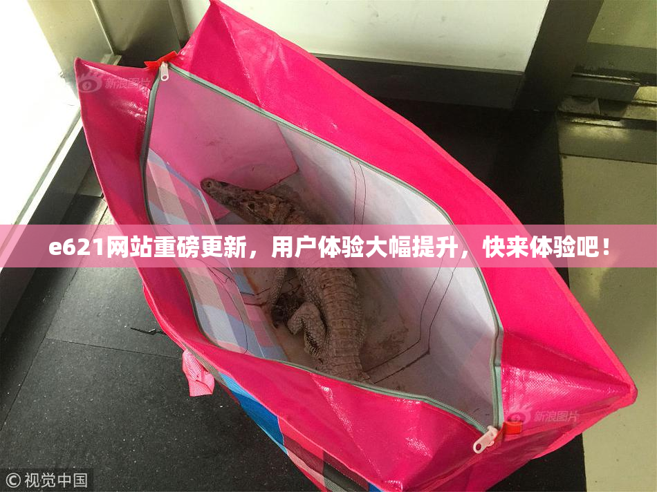e621网站重磅更新，用户体验大幅提升，快来体验吧！