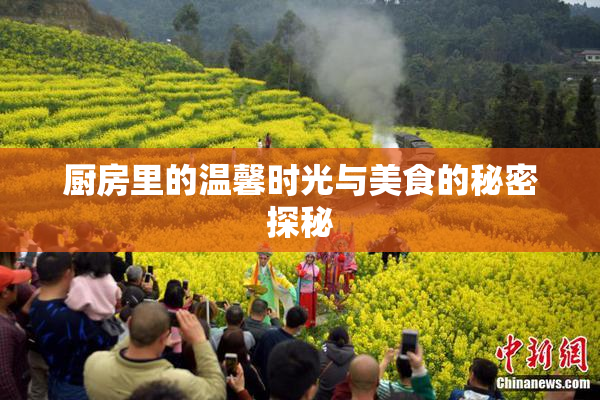 厨房里的温馨时光与美食的秘密探秘