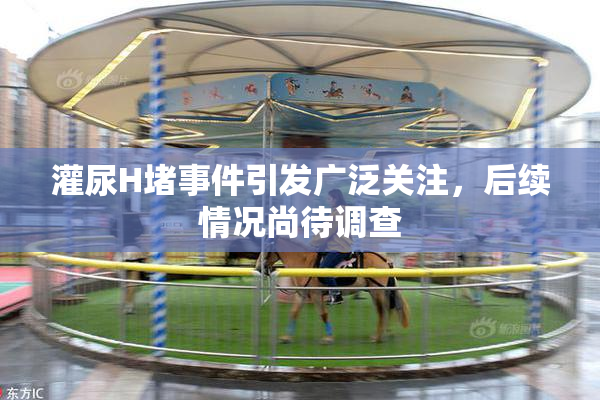 灌尿H堵事件引发广泛关注，后续情况尚待调查