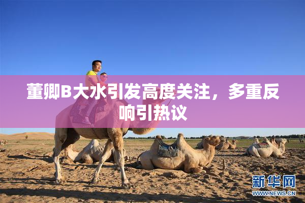 董卿B大水引发高度关注，多重反响引热议