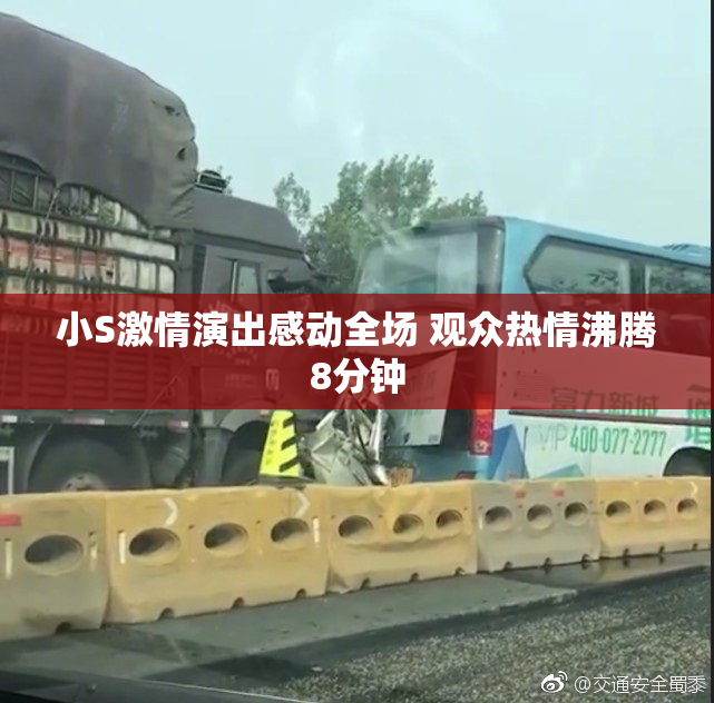 小S激情演出感动全场 观众热情沸腾8分钟