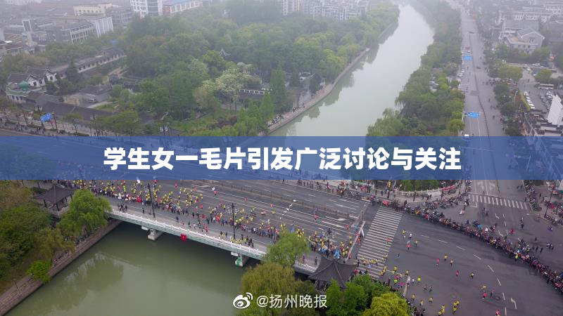 学生女一毛片引发广泛讨论与关注