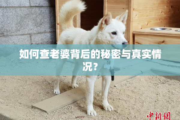 如何查老婆背后的秘密与真实情况？