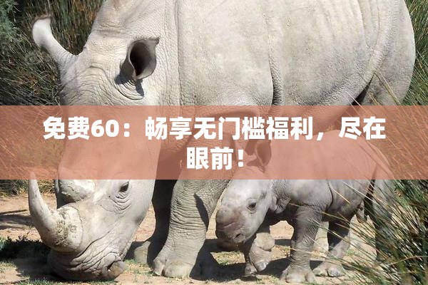 免费60：畅享无门槛福利，尽在眼前！