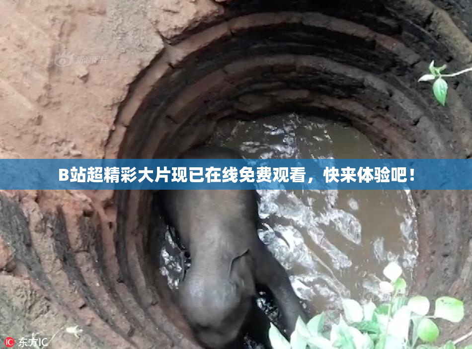 B站超精彩大片现已在线免费观看，快来体验吧！