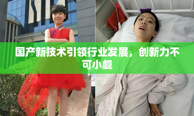 国产新技术引领行业发展，创新力不可小觑
