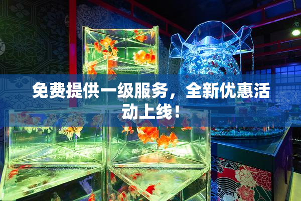 免费提供一级服务，全新优惠活动上线！