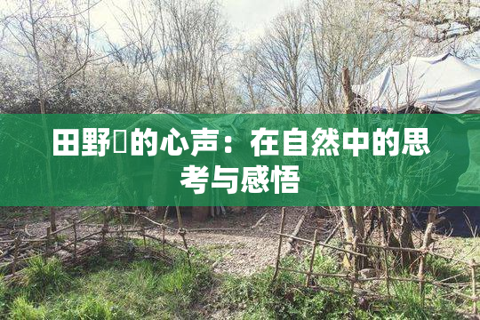 田野憂的心声：在自然中的思考与感悟