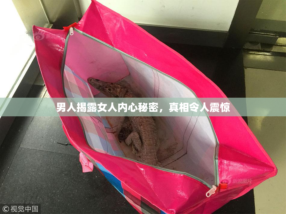 男人揭露女人内心秘密，真相令人震惊