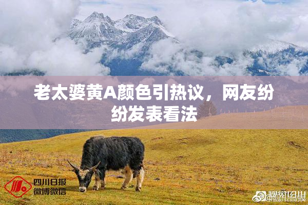 老太婆黄A颜色引热议，网友纷纷发表看法