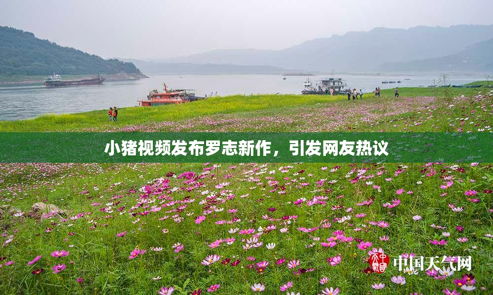 小猪视频发布罗志新作，引发网友热议