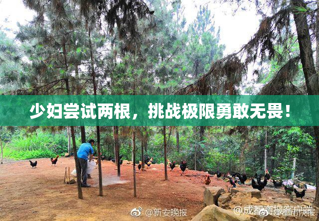 少妇尝试两根，挑战极限勇敢无畏！