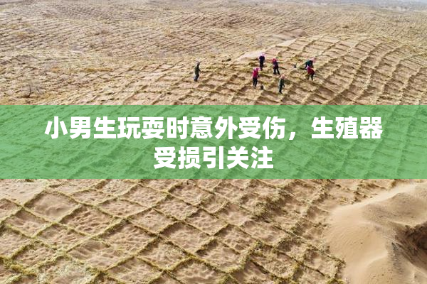 小男生玩耍时意外受伤，生殖器受损引关注