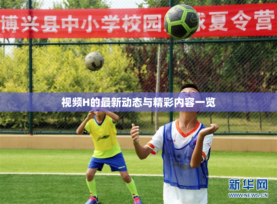 视频H的最新动态与精彩内容一览
