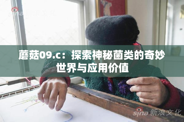 蘑菇09.c：探索神秘菌类的奇妙世界与应用价值