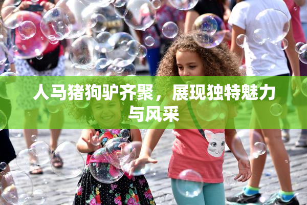 人马猪狗驴齐聚，展现独特魅力与风采