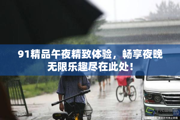 91精品午夜精致体验，畅享夜晚无限乐趣尽在此处！