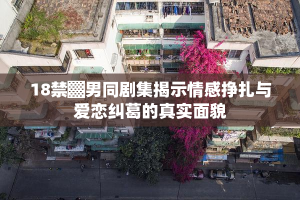 18禁▓男同剧集揭示情感挣扎与爱恋纠葛的真实面貌