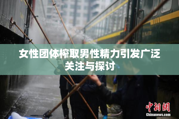 女性团体榨取男性精力引发广泛关注与探讨