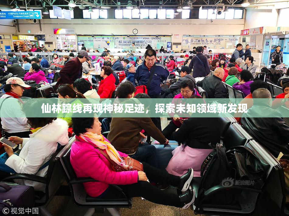 仙林踪线再现神秘足迹，探索未知领域新发现