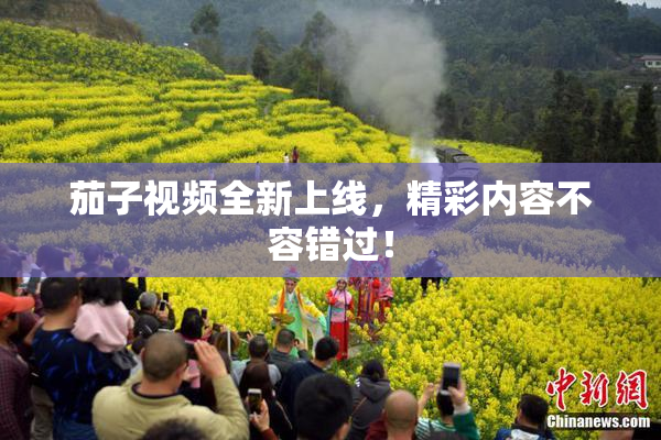 茄子视频全新上线，精彩内容不容错过！