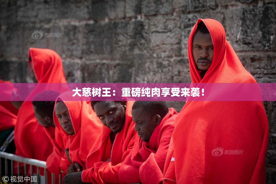 大慈树王：重磅纯肉享受来袭！