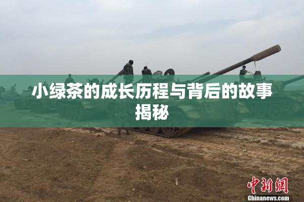 小绿茶的成长历程与背后的故事揭秘