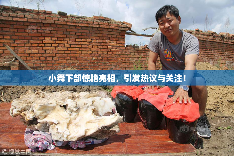 小舞下部惊艳亮相，引发热议与关注！