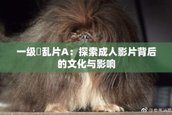 一级婬乱片A：探索成人影片背后的文化与影响