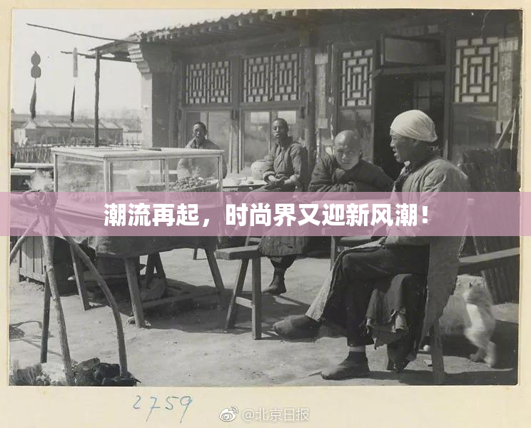 潮流再起，时尚界又迎新风潮！