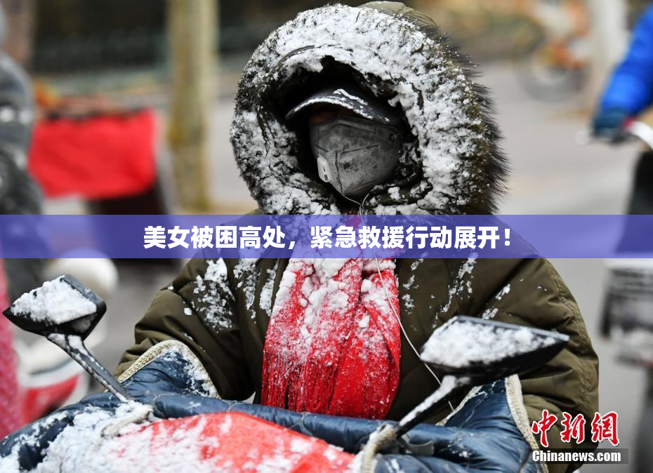 美女被困高处，紧急救援行动展开！