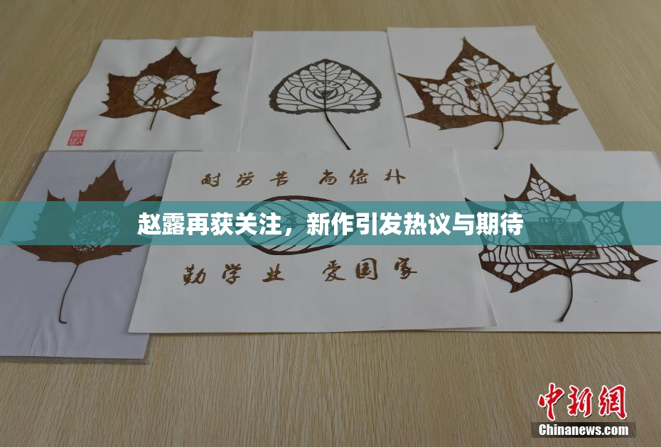赵露再获关注，新作引发热议与期待