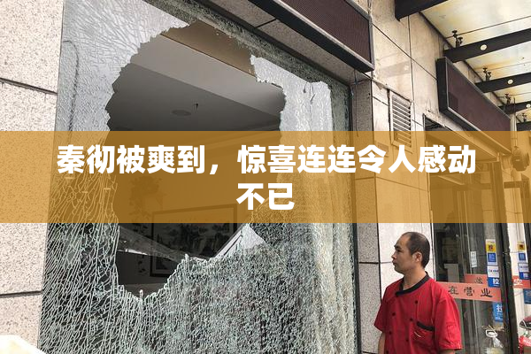 秦彻被爽到，惊喜连连令人感动不已