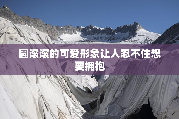 圆滚滚的可爱形象让人忍不住想要拥抱