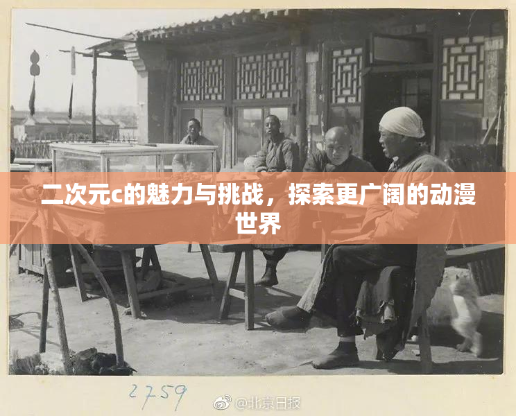 二次元c的魅力与挑战，探索更广阔的动漫世界