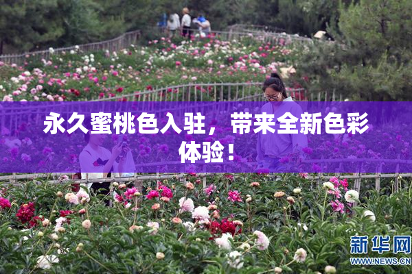 永久蜜桃色入驻，带来全新色彩体验！