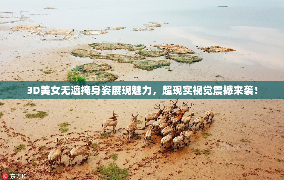 3D美女无遮掩身姿展现魅力，超现实视觉震撼来袭！