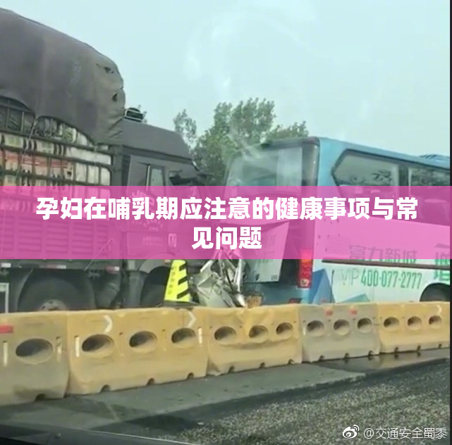 孕妇在哺乳期应注意的健康事项与常见问题